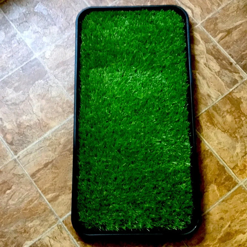 Doggy potty grass